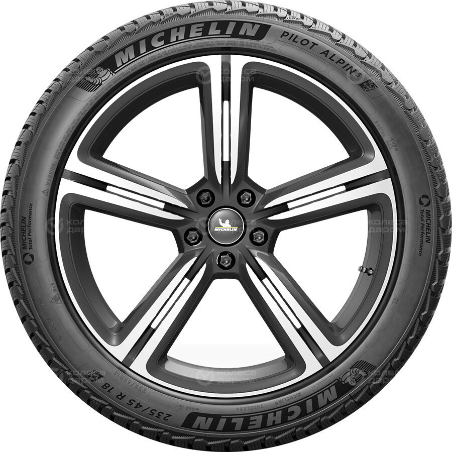 Шина Michelin Pilot Alpin 5 245/35 R21 96W