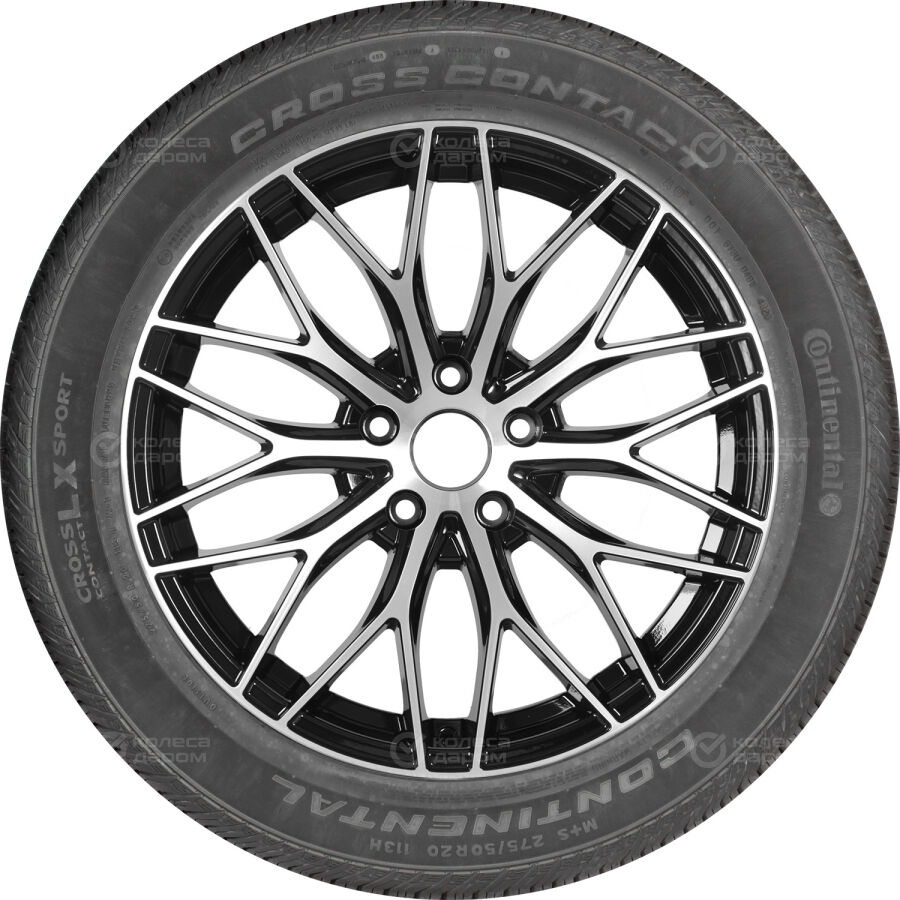 Шина Continental Cross Contact LX Sport 235/55 R19 105H (омологация)