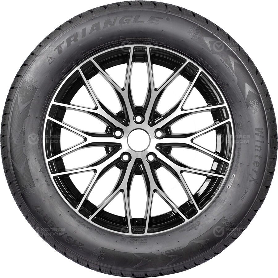 Шина Triangle TW401 225/65 R17 106H