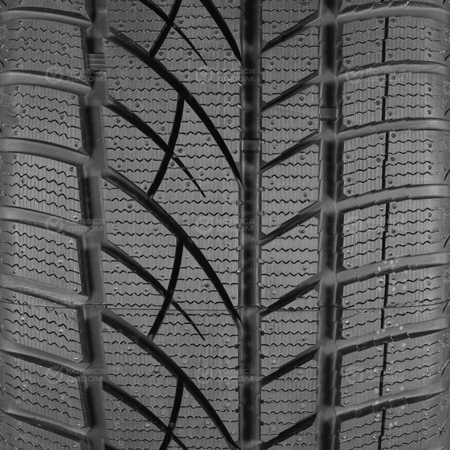 Шина Evergreen EW66 255/50 R19 107H