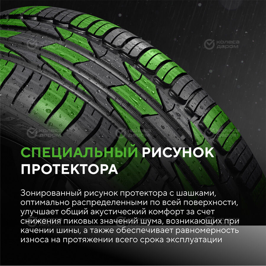 Шина Ikon Autograph Aqua 3 215/50 R17 95V