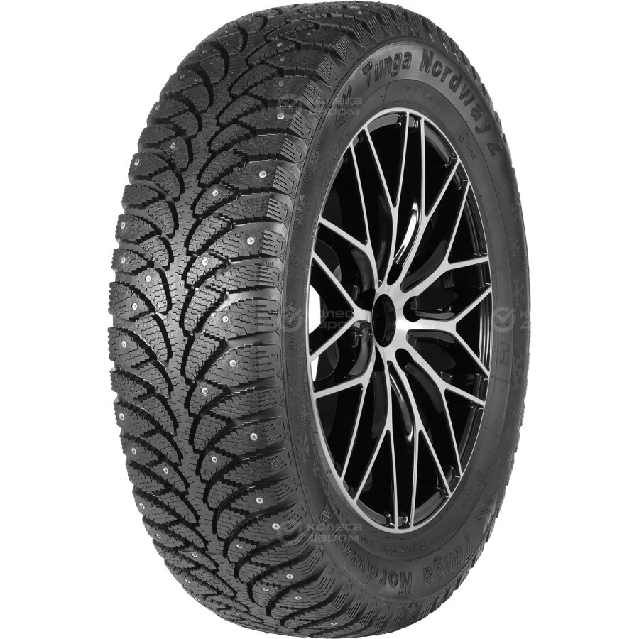 Шина Tunga Nordway 2 205/65 R15 94Q