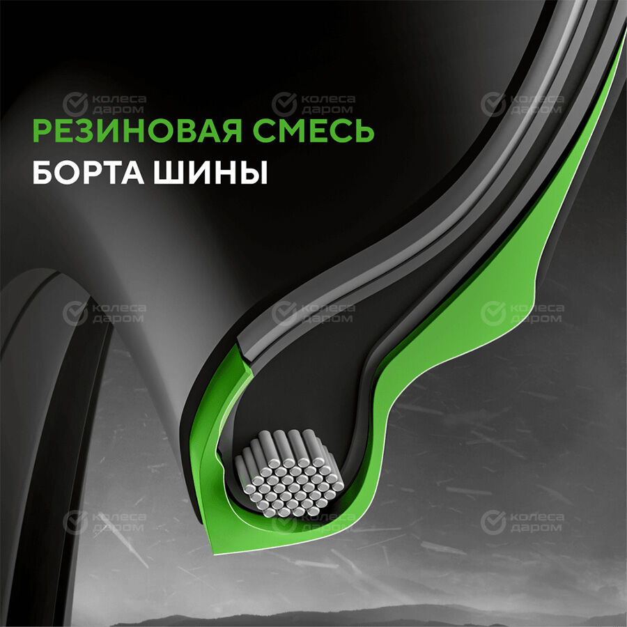 Шина Ikon (Nokian Tyres) Autograph Ice 9 255/40 R19 100T